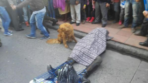 12108972_855421717889859_1907465360689754432_n