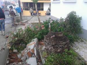 12109125_10206936814171212_3347819622513551939_n