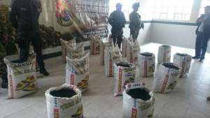 anfo-ecuatoriano-1