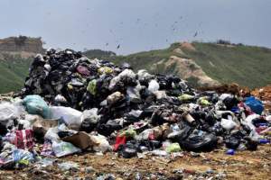 web_l140307222_big_tp