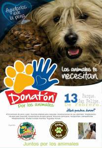 12651078_1259196477440860_2196474282878552664_n