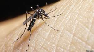 150611122654_zika_624x351_thinkstock