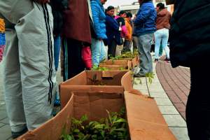 1097989_980174035351803_4654845834179277924_n