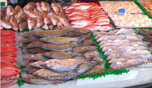 more-fish-at-the-maine-ave-fish-market