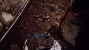 thumbnail_IMG_20160617_054132