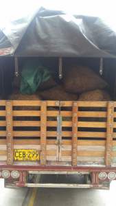 CAPTURADO CON CARBON PUERRES GAULA ago21 (4)