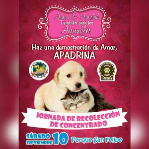 14183965_1427099803983859_9186332281811202426_n