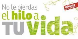 vida1