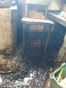 c7cfd6b4-01e3-40a9-819e-e742de00397b