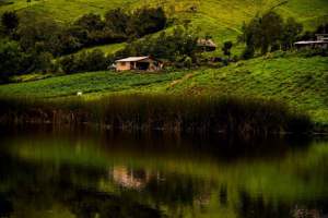 17554260_2210157465876755_3533075337648408581_n