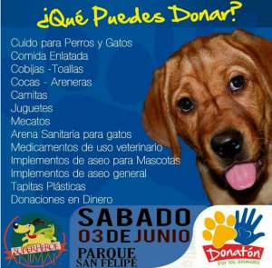 18447379_1722802297746940_1115597409673984912_n