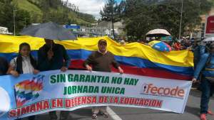 18698504_1337681802954203_5412684413066568692_n