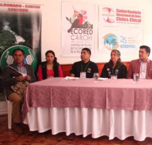 1b906063c9a3ebc2b7493dd901cd33e0_385_370