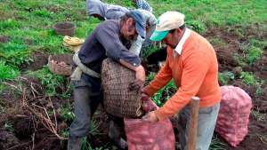 19145990_1818539915127701_8804248430847338475_n