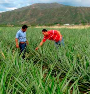 fa0f343cc1546dd50eb463621a02e574_385_370