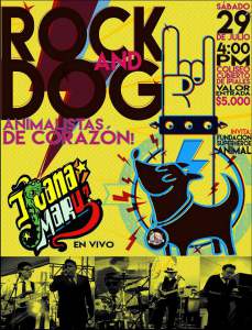 19894794_1789303514430151_440900516663093899_n