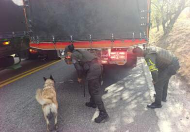 Conducir sin licencia y no portar el SOAT, entre las infracciones más comunes.