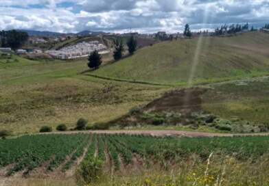 Alcaldía de Ipiales advierte sobre venta irregular de lotes en zonas no autorizadas