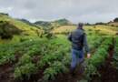 Abierta convocatoria para integrar la Mesa Departamental de Agroecología Abierta convocatoria para integrar la Mesa Departamental de Agroecología