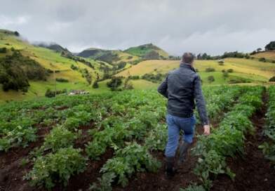 Abierta convocatoria para integrar la Mesa Departamental de Agroecología Abierta convocatoria para integrar la Mesa Departamental de Agroecología