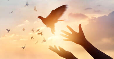 Refuerza capacidades locales para enfrentar retos de seguridad y paz