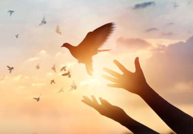 Refuerza capacidades locales para enfrentar retos de seguridad y paz