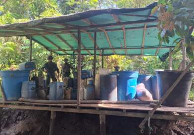 Ejército destruyó nueve laboratorios de coca