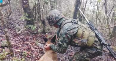 Halla depósito ilegal con munición y granadas artesanales