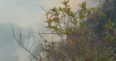 Incendio consume 40 hectáreas y destruye cultivos en Puerres
