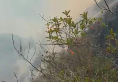 Incendio consume 40 hectáreas y destruye cultivos en Puerres