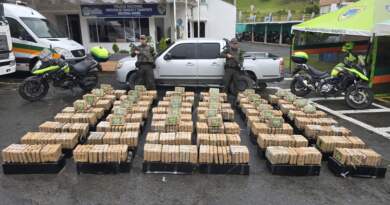 Golpe al narcotráfico en Nariño: incautados más de 730 kilos de marihuana