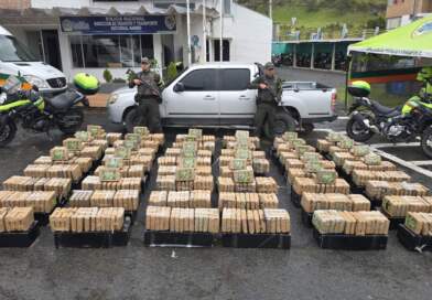 Golpe al narcotráfico en Nariño: incautados más de 730 kilos de marihuana