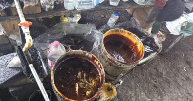 Operativo deja 37 capturados por producción ilegal de panela Operativo deja 37 capturados por producción ilegal de panela
