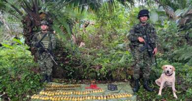 Ejército halló depósito ilegal con más de 250 explosivos