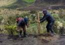 Más de $10 mil millones impulsan la protección ambiental y el bienestar animal en Nariño Más de $10 mil millones impulsan la protección ambiental y el bienestar animal en Nariño