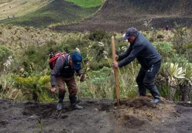 Más de $10 mil millones impulsan la protección ambiental y el bienestar animal en Nariño Más de $10 mil millones impulsan la protección ambiental y el bienestar animal en Nariño