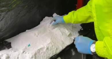Potosí: Ejército destruye laboratorio para el procesamiento de clorhidrato de cocaína Potosí: Ejército destruye laboratorio para el procesamiento de clorhidrato de cocaína