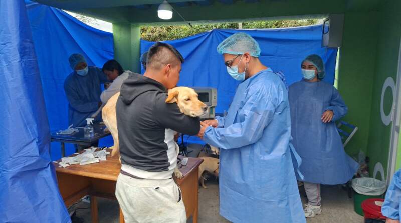 Unidad Móvil realizará 800 esterilizaciones gratuitas Unidad Móvil realizará 800 esterilizaciones gratuitas
