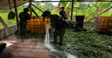 Ejército destruye laboratorio para procesamiento de coca en zona rural de Ipiales Ejército destruye laboratorio para procesamiento de coca en zona rural de Ipiales