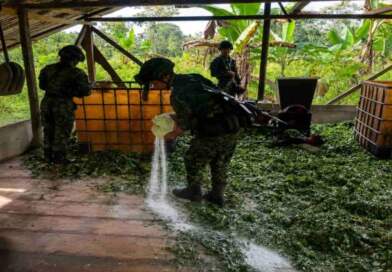 Ejército destruye laboratorio para procesamiento de coca en zona rural de Ipiales Ejército destruye laboratorio para procesamiento de coca en zona rural de Ipiales