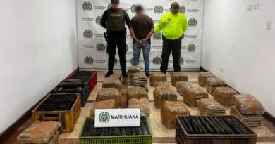 Incautan 200 kilos de marihuana y capturan a conductor de un furgón