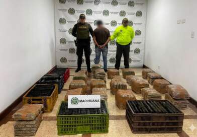 Incautan 200 kilos de marihuana y capturan a conductor de un furgón