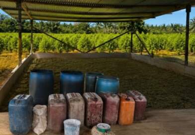 Ejército destruyó cuatro laboratorios para el procesamiento de coca