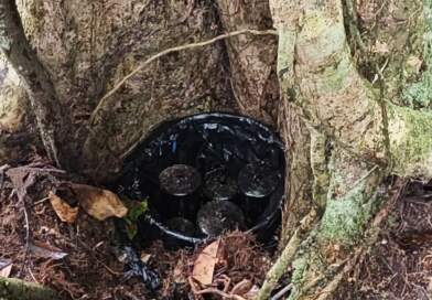 Más de 330 explosivos improvisados y 74 minas antipersona fueron neutralizados en Nariño Más de 330 explosivos improvisados y 74 minas antipersona fueron neutralizados en Nariño