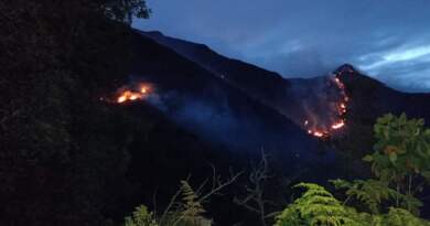 Incendio forestal, ha consumido cerca de 400 hectáreas. Incendio forestal, ha consumido cerca de 400 hectáreas.