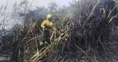 Autoridades de Nariño coordinan acciones para enfrentar la temporada de menos lluvias Autoridades de Nariño coordinan acciones para enfrentar la temporada de menos lluvias