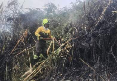Autoridades de Nariño coordinan acciones para enfrentar la temporada de menos lluvias Autoridades de Nariño coordinan acciones para enfrentar la temporada de menos lluvias