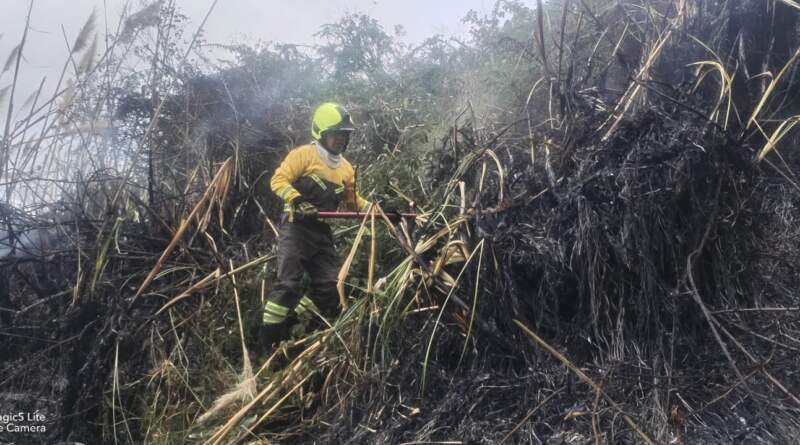 Autoridades de Nariño coordinan acciones para enfrentar la temporada de menos lluvias Autoridades de Nariño coordinan acciones para enfrentar la temporada de menos lluvias