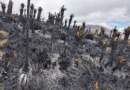 Incendio forestal deja devastación en la zona de páramo de Cumbal Incendio forestal deja devastación en la zona de páramo de Cumbal