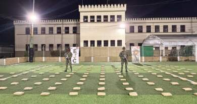 Ejército incauta 160 kilos de marihuana en zona rural de Ipiales. Ejército incauta 160 kilos de marihuana en zona rural de Ipiales.
